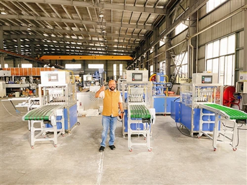 يشتري عميل الهند آلة التعبئة التلقائية الكاملة لقنبلة الحمام مرة أخرى